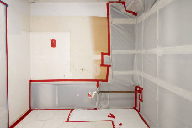Best Industrial Mold Remediation  in India Hook, SC