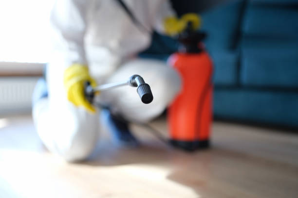 Best Post-Construction Mold Inspection  in India Hook, SC