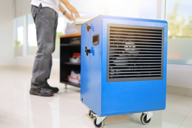 Best Black Mold Removal  in India Hook, SC