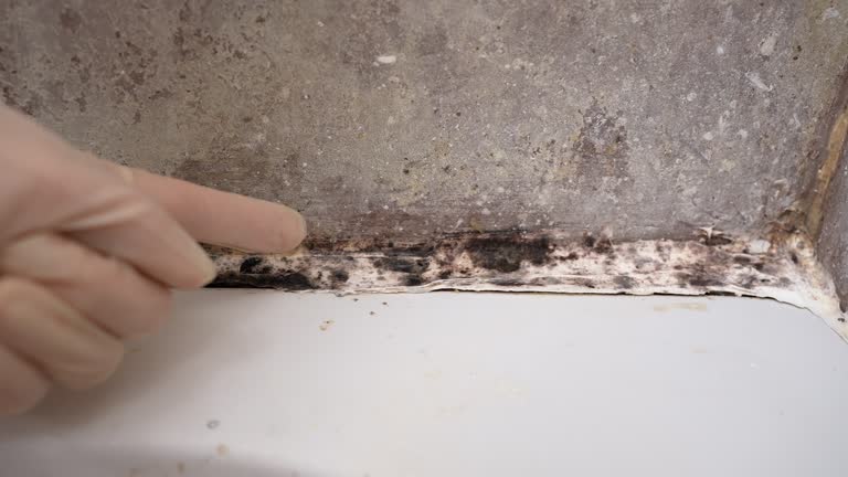 Mold Documentation for Insurance Claims in India Hook, SC